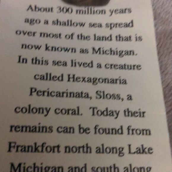 Michigan Petoskey Stone‎ souvenir - Picture 4 of 6